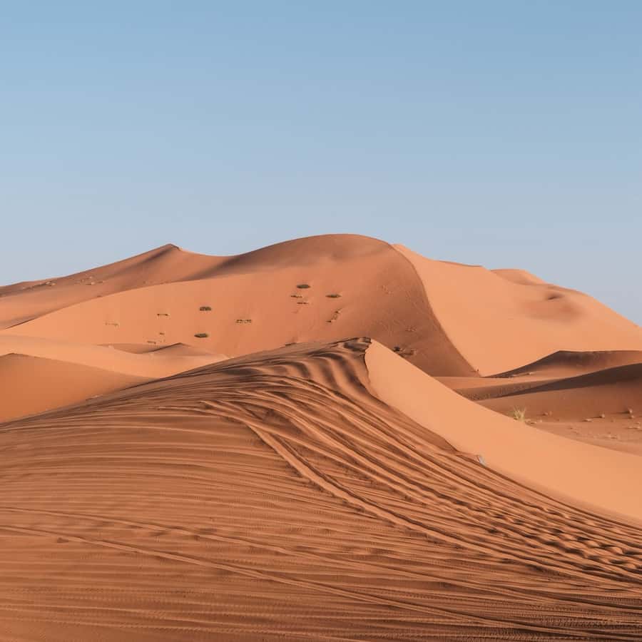 From Marrakech: 3 Day Round Trip To Merzouga Desert & Camel - Who should book this experience?