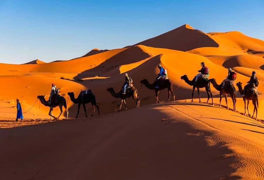 From Marrakech: 3-Day Sahara Desert Adventure to Fes - Key points before you book