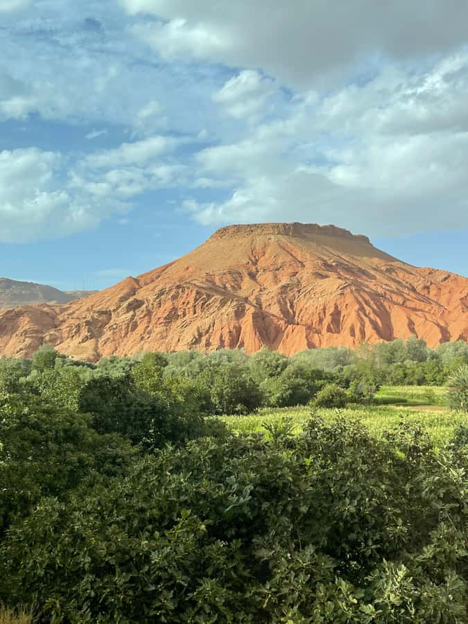 From Marrakech: 3-Day Tour To Magical Desert Merzouga - Day three: Sunrise, breakfast, and the long road back