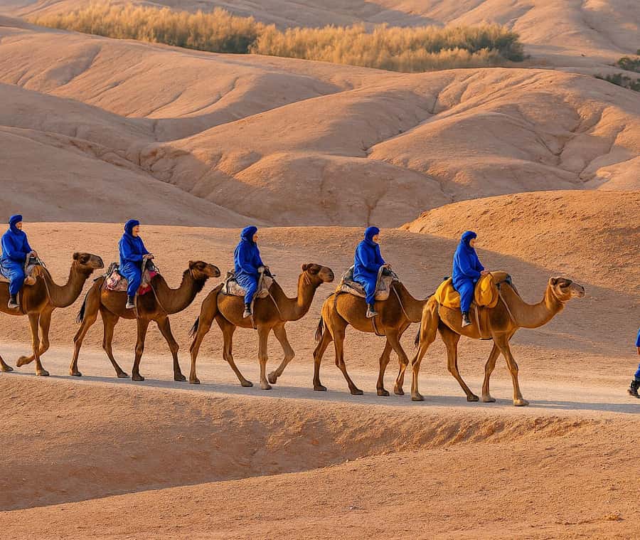 From Marrakech: Agafay Desert Dinner and Optional Camel Ride - From Marrakech traffic to Agafay’s rocky silence
