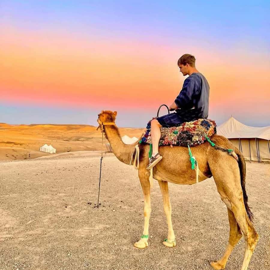 From Marrakech: Agafay Desert Dinner with Quad & Camel Ride - Why Agafay works as a short desert escape