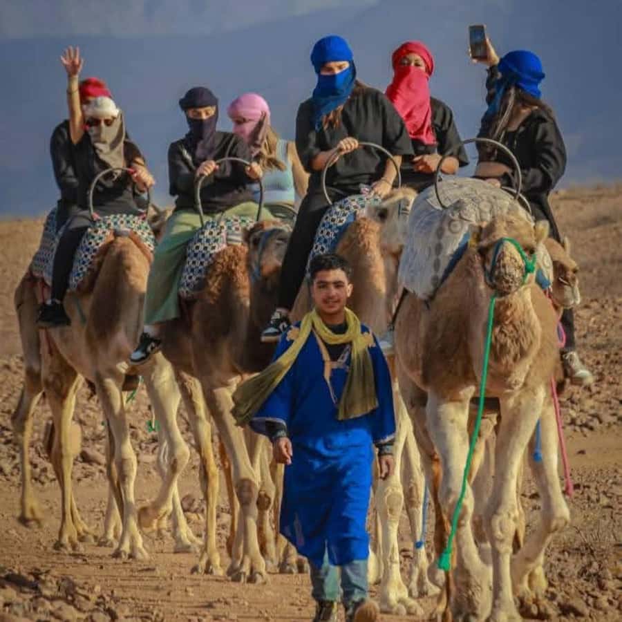 From Marrakech: Agafay Desert Dinner with Quad & Camel Ride - Dinner at the desert camp