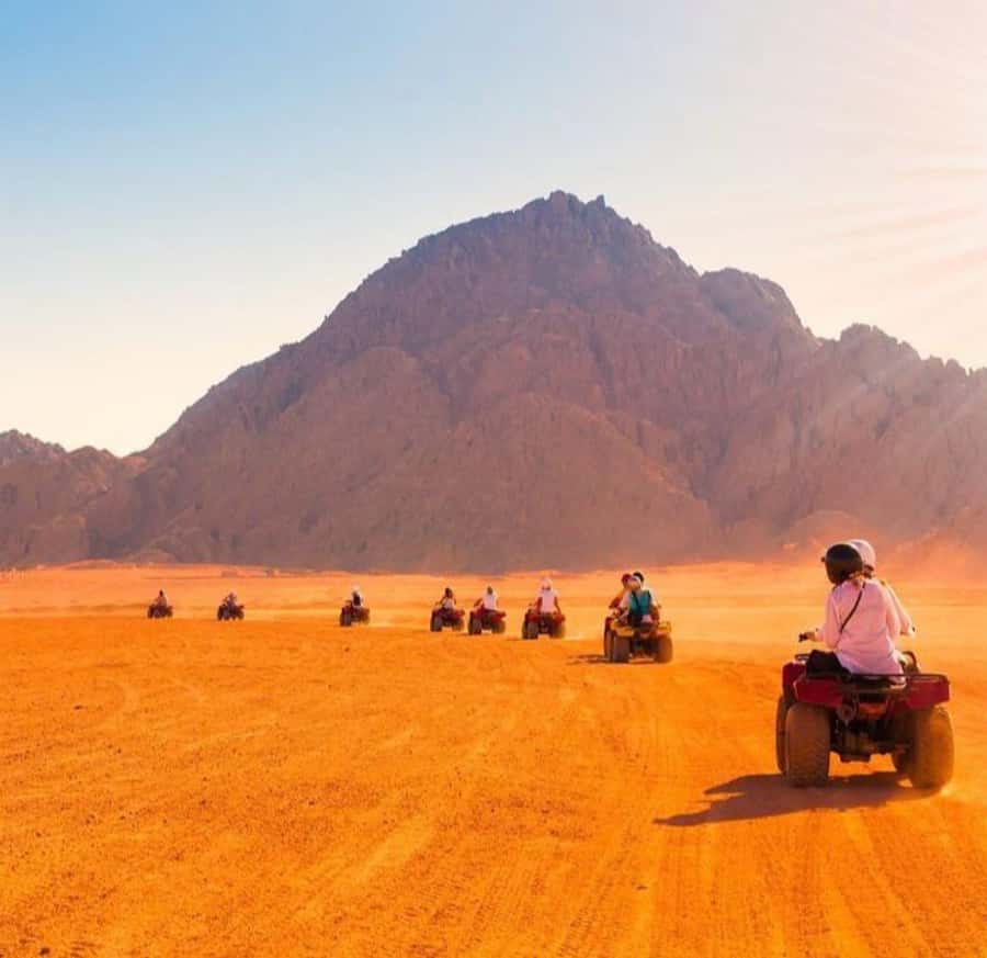From Marrakech: Agafay Desert Quad Biking with Dinner & Show - Is $61 good value?
