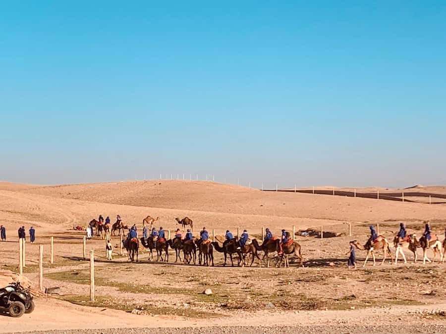 From Marrakech: Agafay Desert Sunset, Camel Ride, and Dinner - Leaving Marrakech by air-conditioned van