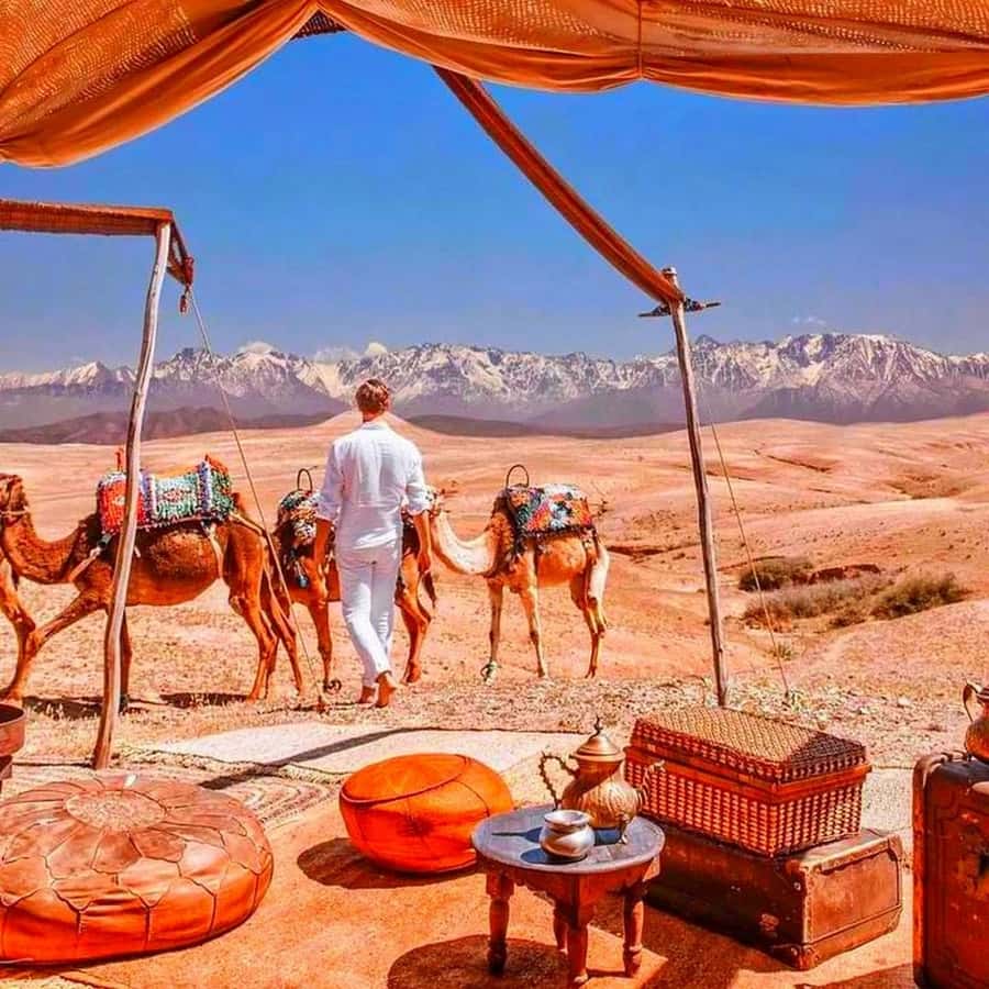 From Marrakech: Agafay Desert Sunset Dinner with Live Show - Mint tea and the first Agafay views