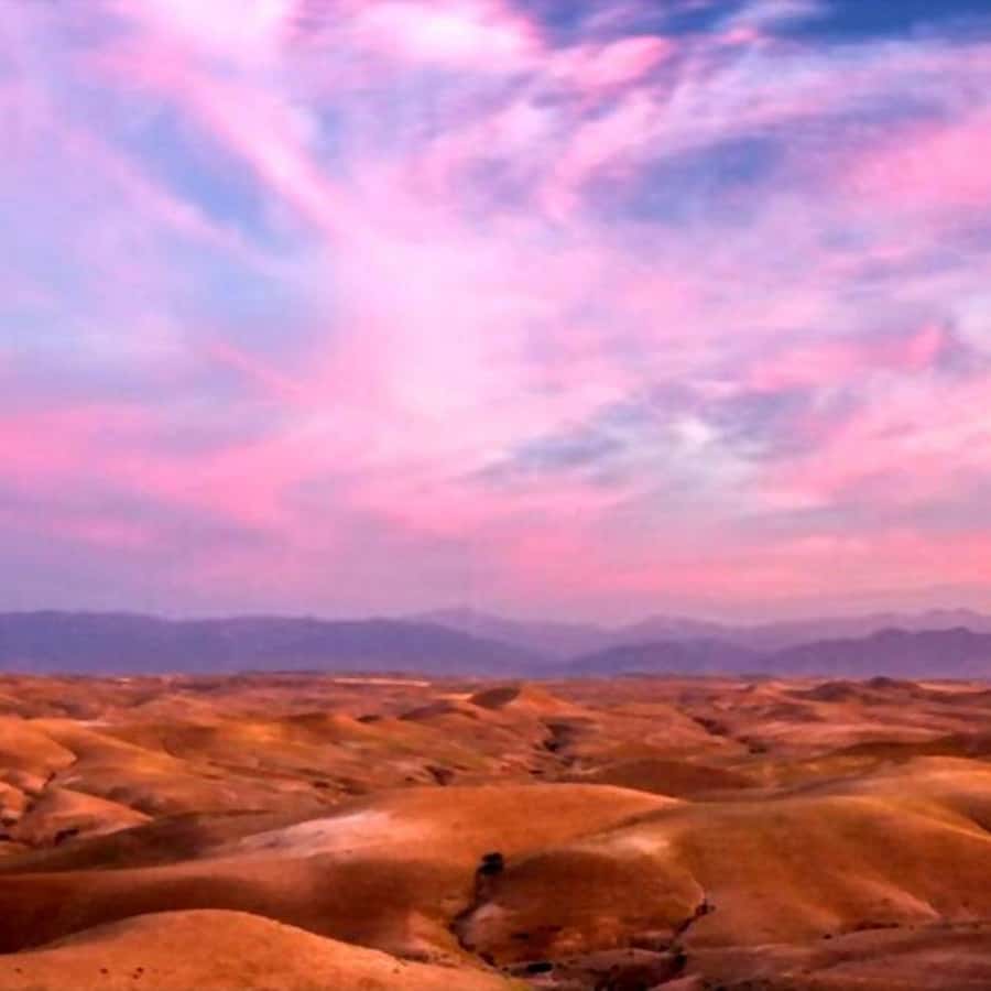 From Marrakech: Agafay Desert Sunset Dinner with Live Show - Camel rides and quad biking: read the fine print
