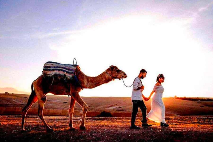 From Marrakech: Agafay Desert Sunset Dinner with Live Show - Dinner in the desert setting