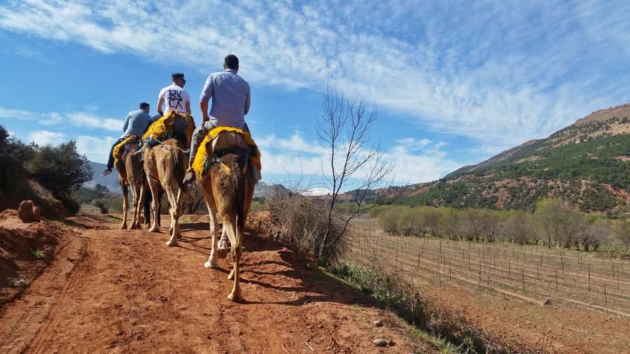 From Marrakech: Atlas Mountains 45-Minute Horseback Ride - Key points to know before booking