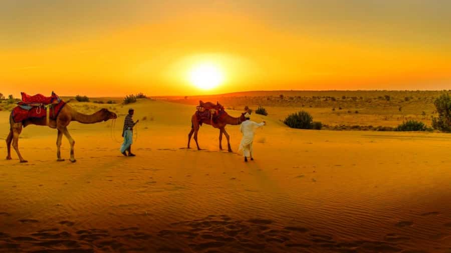 From Marrakech: Atlas Mountains and Three Valleys Day Trip - Why this Atlas Mountains day trip works