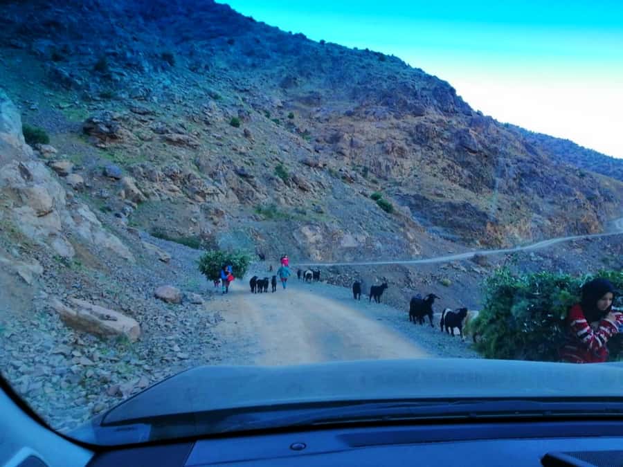 From Marrakech: Atlas Mountains and Three Valleys Day Trip - Tea and local life in Amizmiz Valley