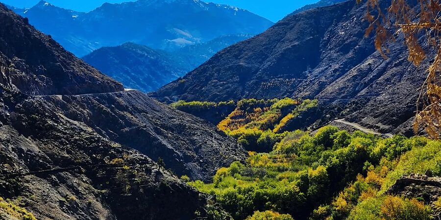 From Marrakech: Atlas Mountains Day Trip with Camel Ride - The camel ride near Moulay Brahim