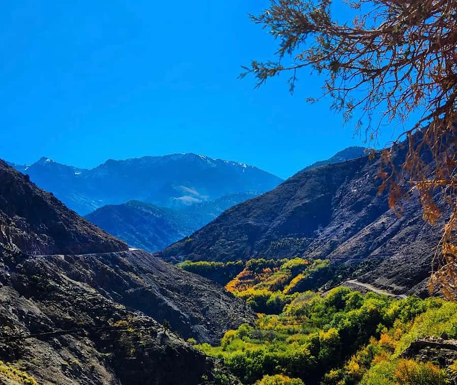 From Marrakech: Atlas Mountains Day Trip with Camel Ride - Reaching Imlil and meeting your guide