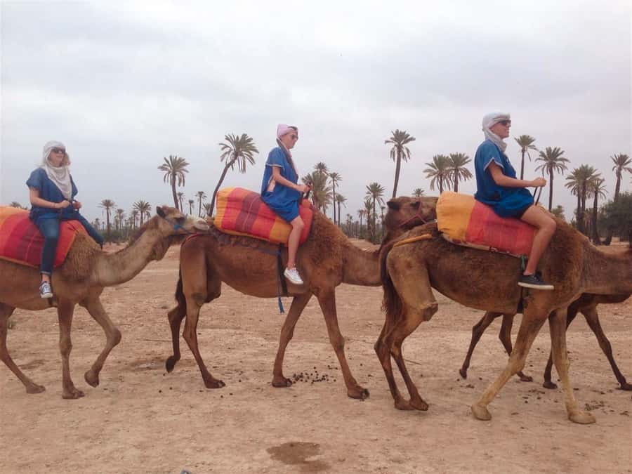 From Marrakech: Camel Ride, Quad Bike & Spa Full-Day Trip - One hour among palms on camelback
