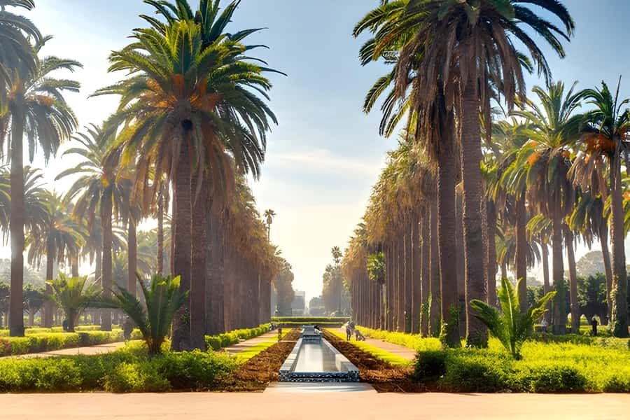 From Marrakech: Casablanca Day Trip by van - Lunch, beach time, and choices in Casablanca