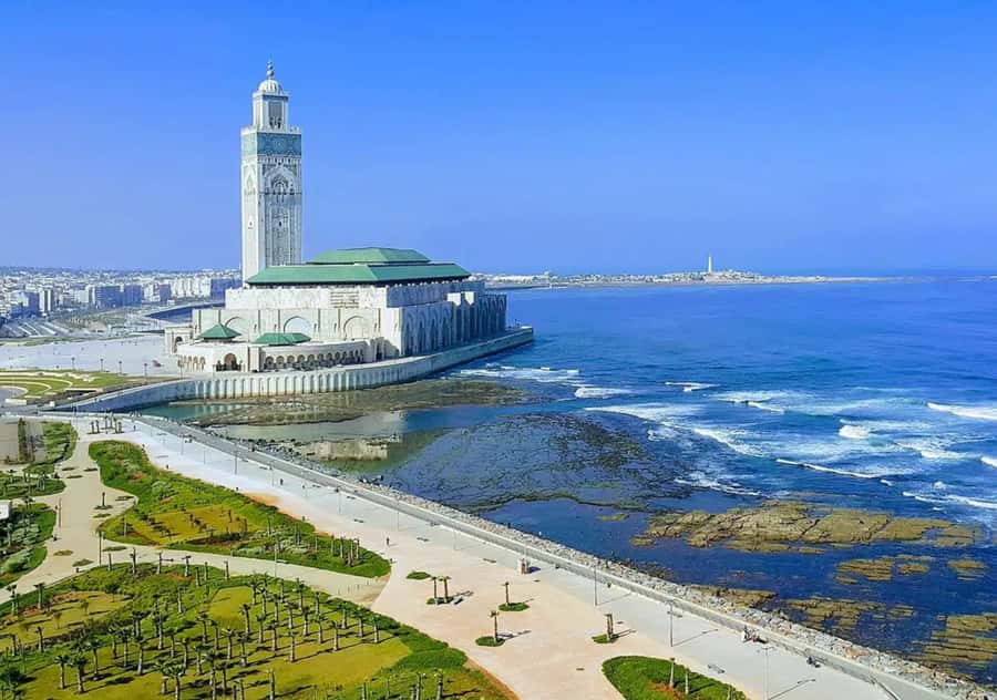From Marrakech: Casablanca Tour with Hassan II Mosque Visit - Price, timing, and who should book