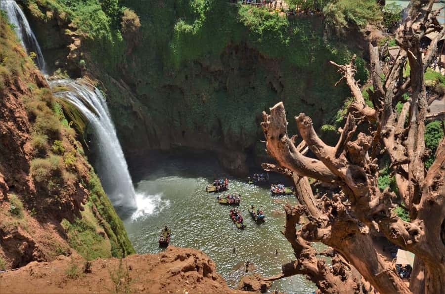 From Marrakech: Day Tour to Ouzoud Waterfalls - Monkeys, olive trees, and sensible wildlife rules