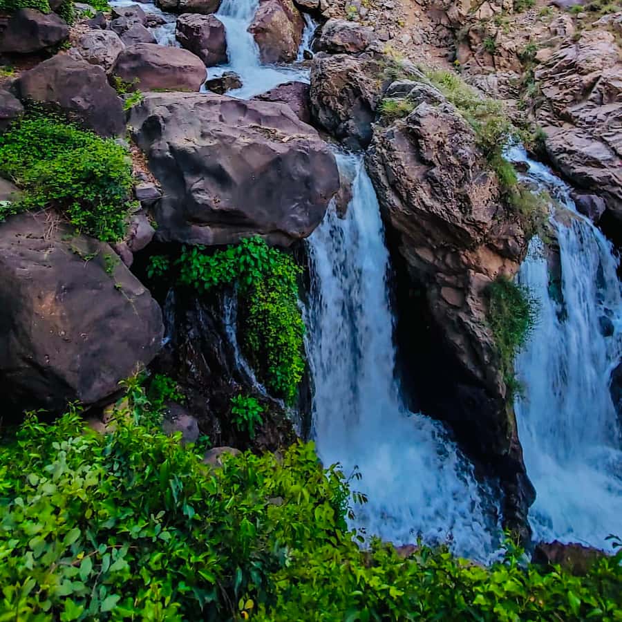 From Marrakech: Day Trip to Anima Garden and Imlil Valley - From Marrakech traffic to André Heller’s garden