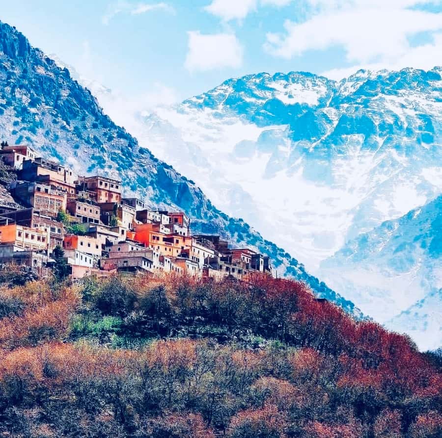 From Marrakech: Day Trip to Anima Garden and Imlil Valley - Imlil village and the two-hour mountain walk