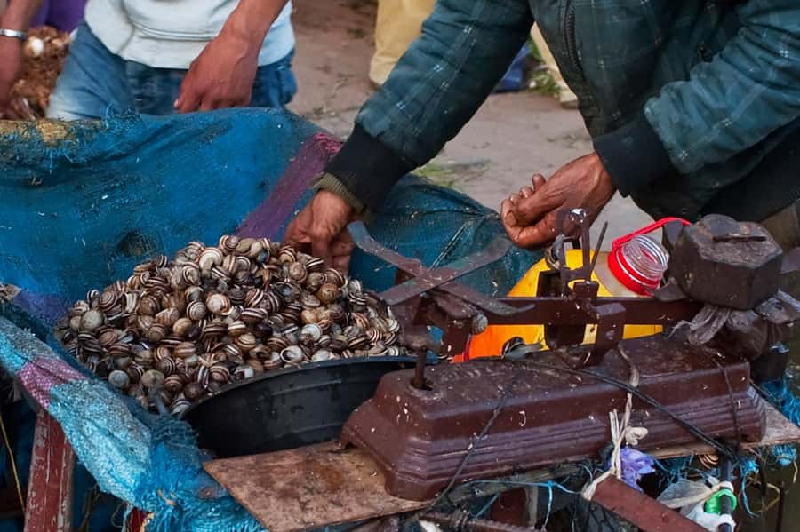From Marrakech: Essaouira & Atlantic Coast Full-Day Trip - The trip back to Marrakech