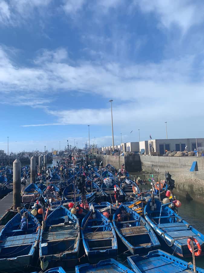 From Marrakech: Essaouira Coastal City Day Trip - The Road From Marrakech to the Atlantic