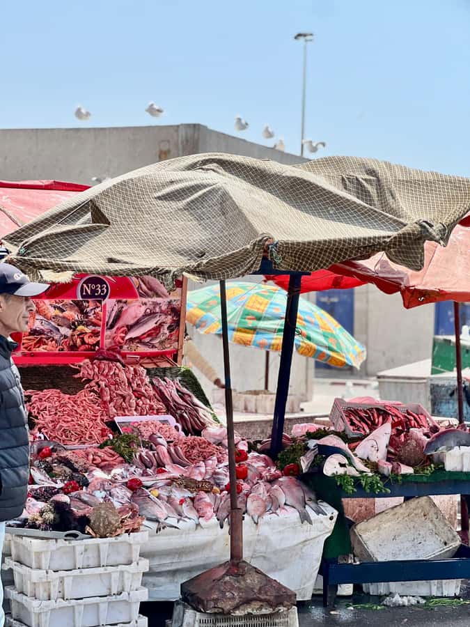 From Marrakech: Essaouira Coastal City Day Trip - Transport, Guides, and Group Pace