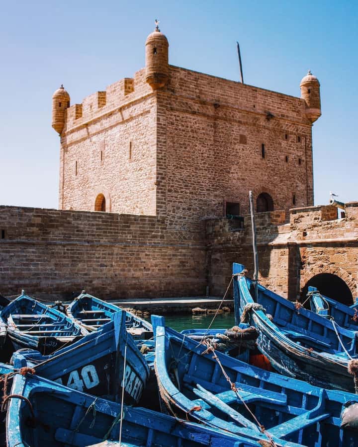 From Marrakech: Essaouira Coastal City Day Trip - Who Should Book This Day Trip?