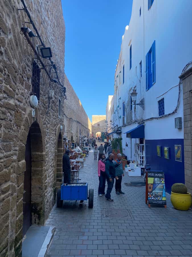 From Marrakech: Essaouira Coastal City Day Trip - The Argan Oil Cooperative Stop