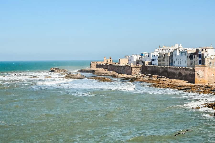 From Marrakech: Essaouira Day Tour with Optional Activities - Optional camel, horse, and quad rides