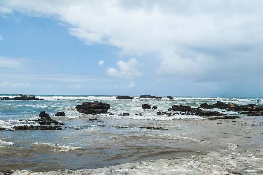 From Marrakech: Essaouira Day Tour with Optional Activities - What the $21 price really buys you