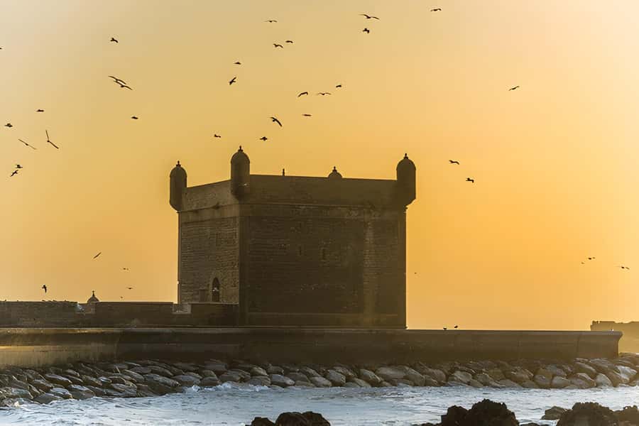 From Marrakech: Essaouira day Trip with camel, horse & quad - The medina for workshops and small purchases