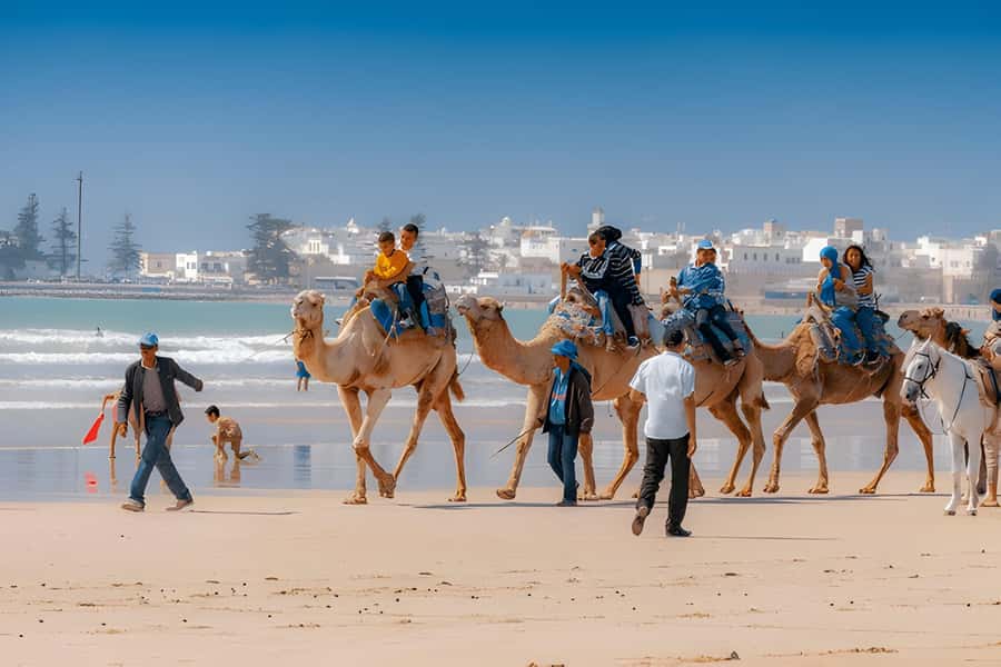 From Marrakech: Essaouira day Trip with camel, horse & quad - Beach time and optional rides