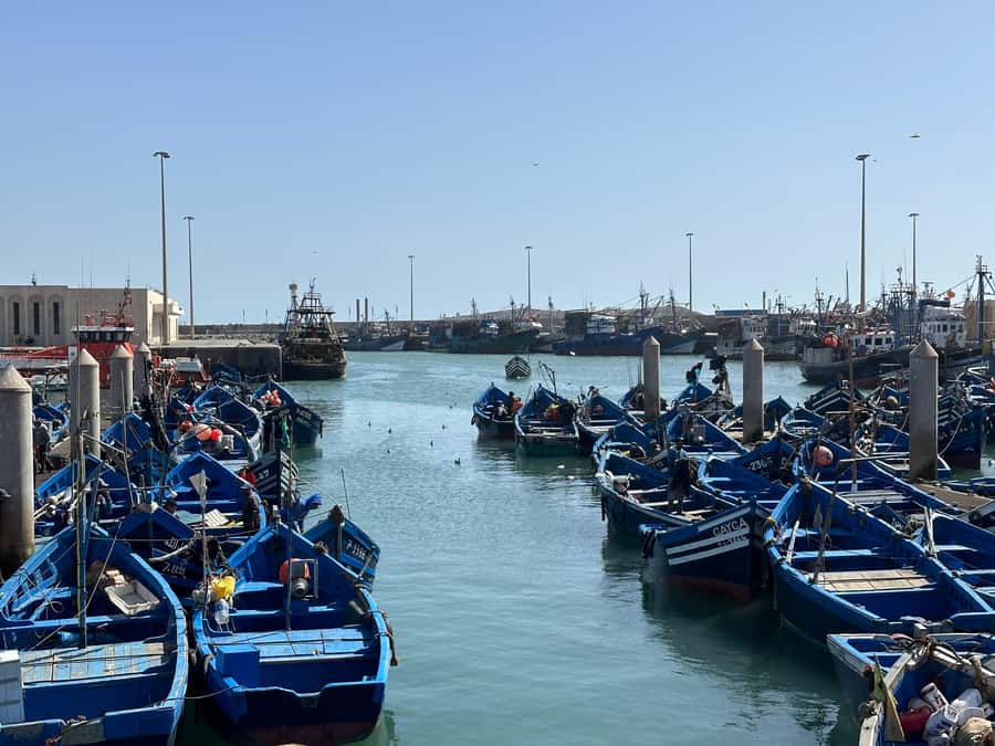 From Marrakech: Essaouira day Trip with camel, horse & quad - The road from Marrakech and the two café breaks