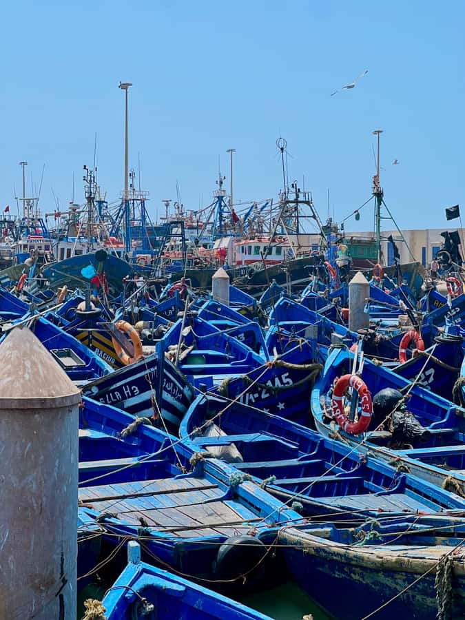 From Marrakech: Essaouira Day Trip with Hotel Pickup - Ramparts, citadel, and the Sqala du Port