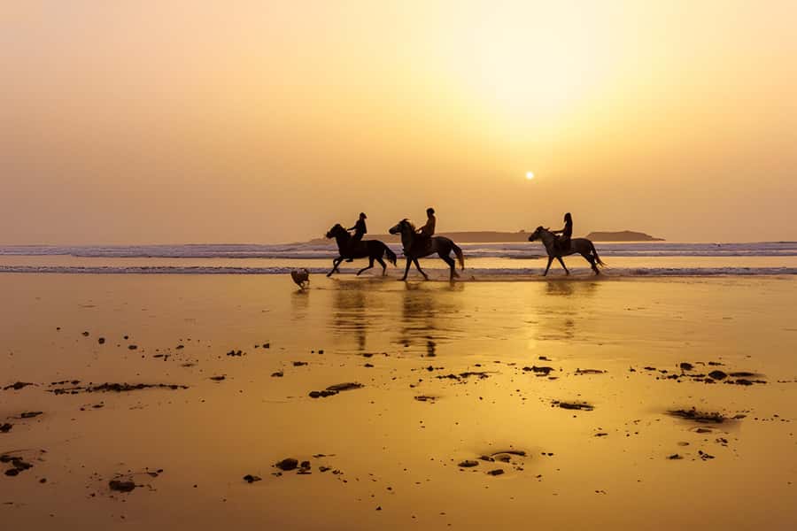 From Marrakech: Essaouira Full-Day Trip with Activities - What $22 really buys you
