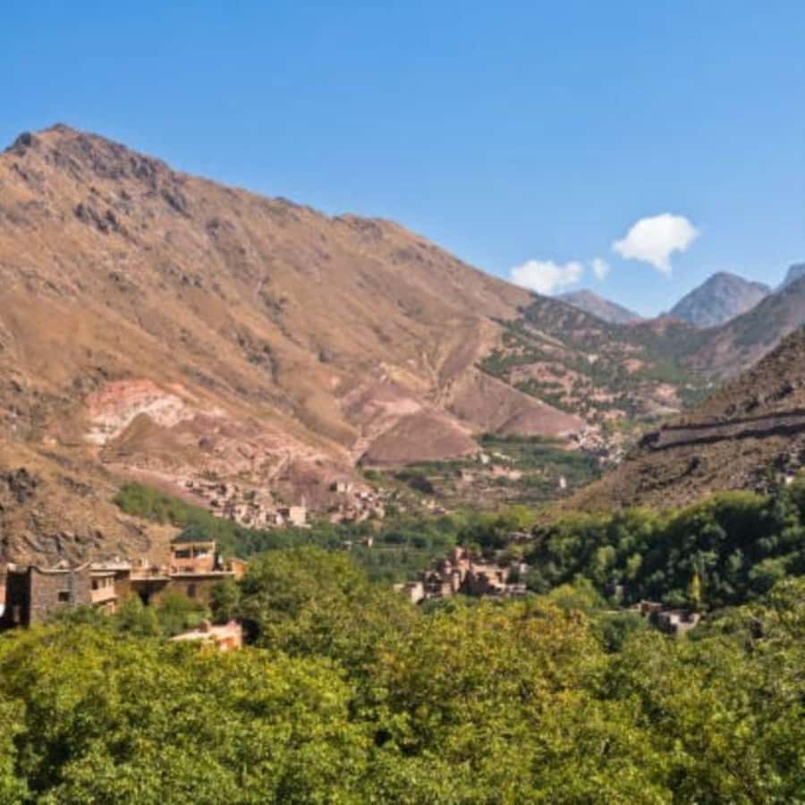 From Marrakech: Full-Day in the Atlas Mountains with Lunch - The return to Marrakech
