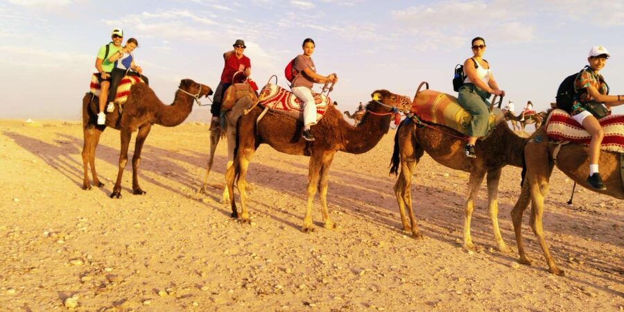 From Marrakech: Full-Day in the Atlas Mountains with Lunch - What the $18 price really buys you