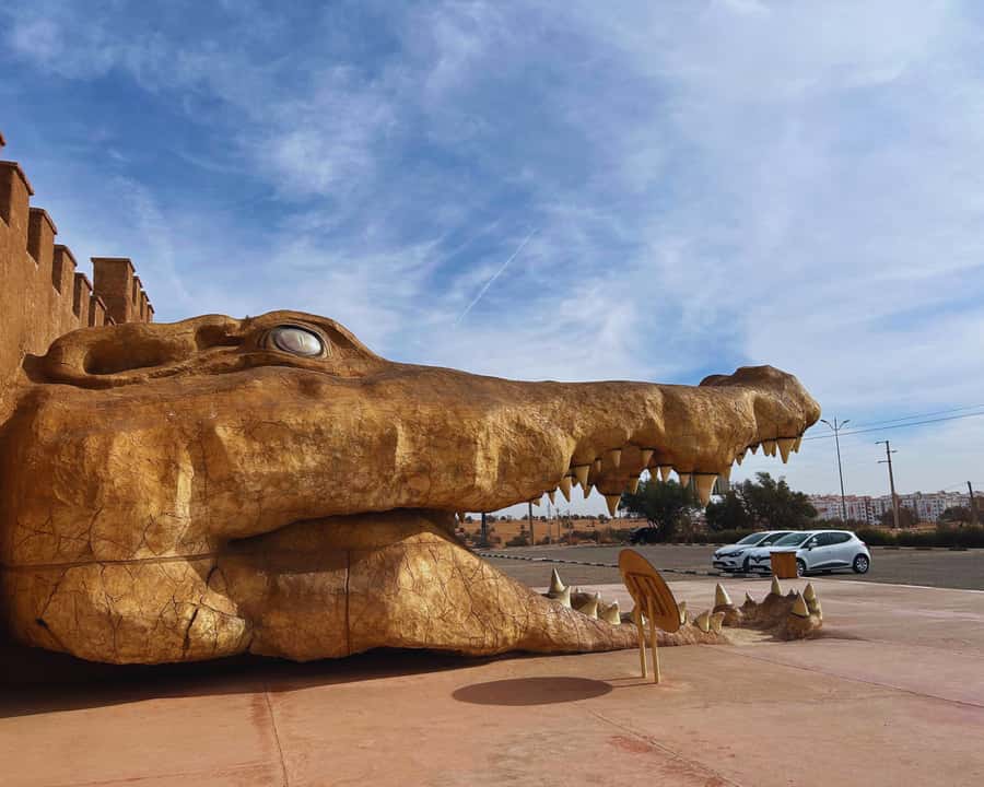 From Marrakech: Full-Day Trip to Agadir - Shared van or private group?