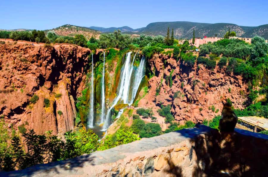 From Marrakech: Guided Ouzoud Waterfalls Tour with Boat Ride - Barbary apes, mills, and the valley paths