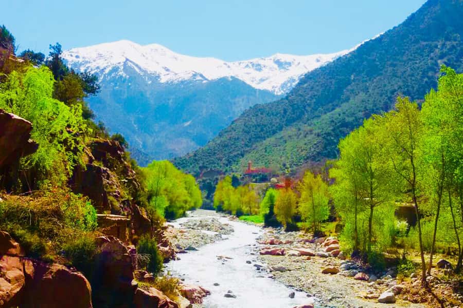 From Marrakech: Half-Day Tour to Atlas Mountains & Ourika - Choosing between the waterfall hike and riverside rest