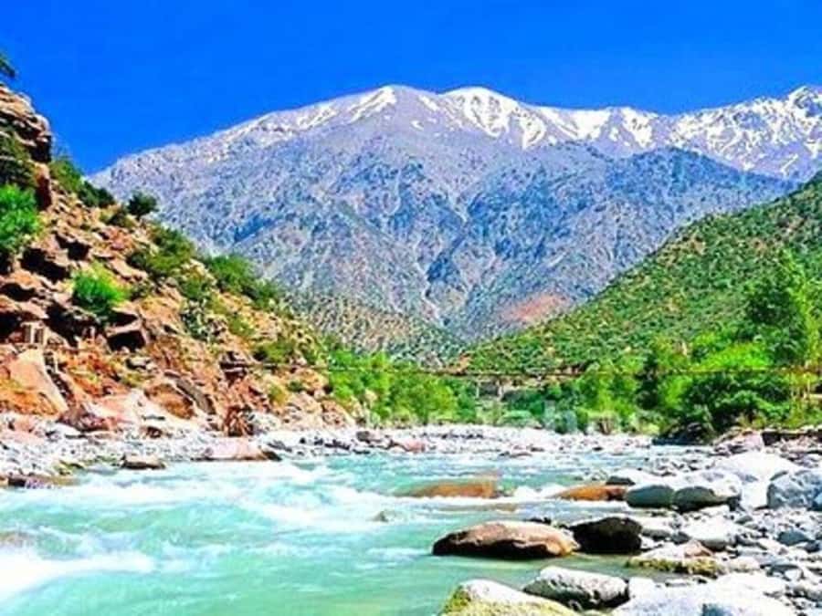 From Marrakech: Half-Day Tour to Atlas Mountains & Ourika - Lunch beside the river