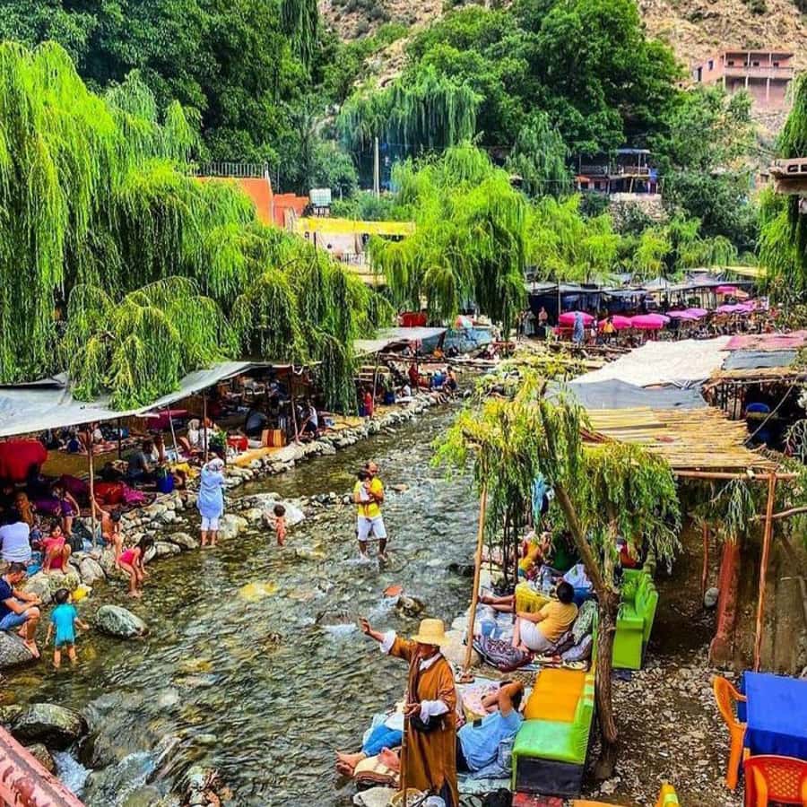 From Marrakech: Half-Day Tour to Atlas Mountains & Ourika - Who should book this Atlas Mountains trip?