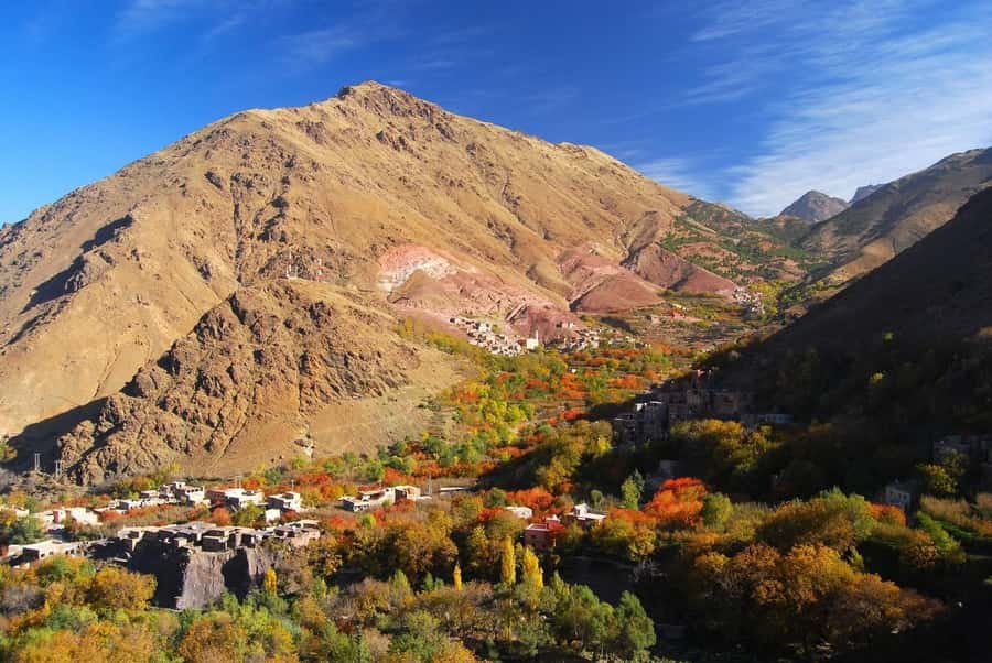 From Marrakech: High Atlas Berber Cooking Class - An argan cooperative and the first taste of local life