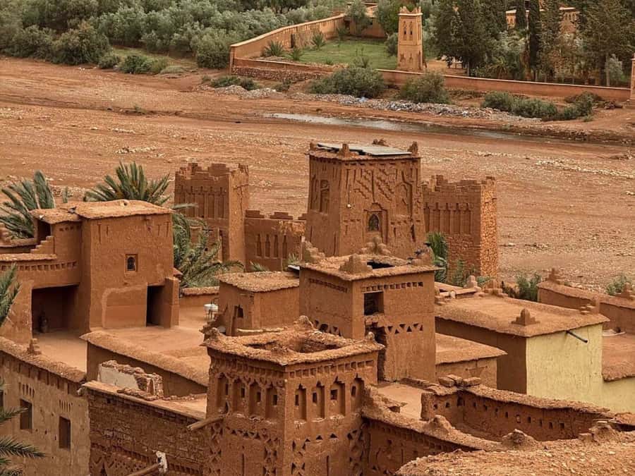 From Marrakech: Ouarzazate, Ait Ben Haddou & Atlas Studios - The van, group size, and guide quality