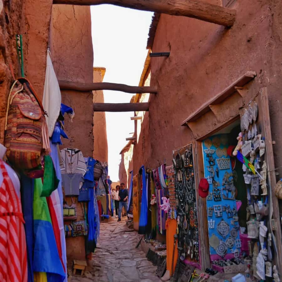 From Marrakech: Ouarzazate, Ait Ben Haddou & Atlas Studios - Who should book this excursion