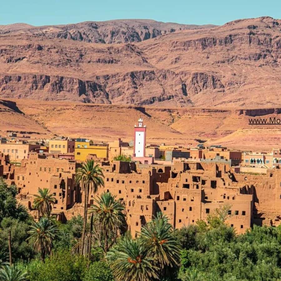 From Marrakech: Ouarzazate & Ait Benhaddou Guided Day Trip - Crossing the High Atlas from Marrakech