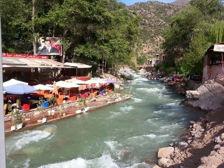 From Marrakech: Ourika Valley & Atlas Mountains Waterfalls - Who should book this day trip