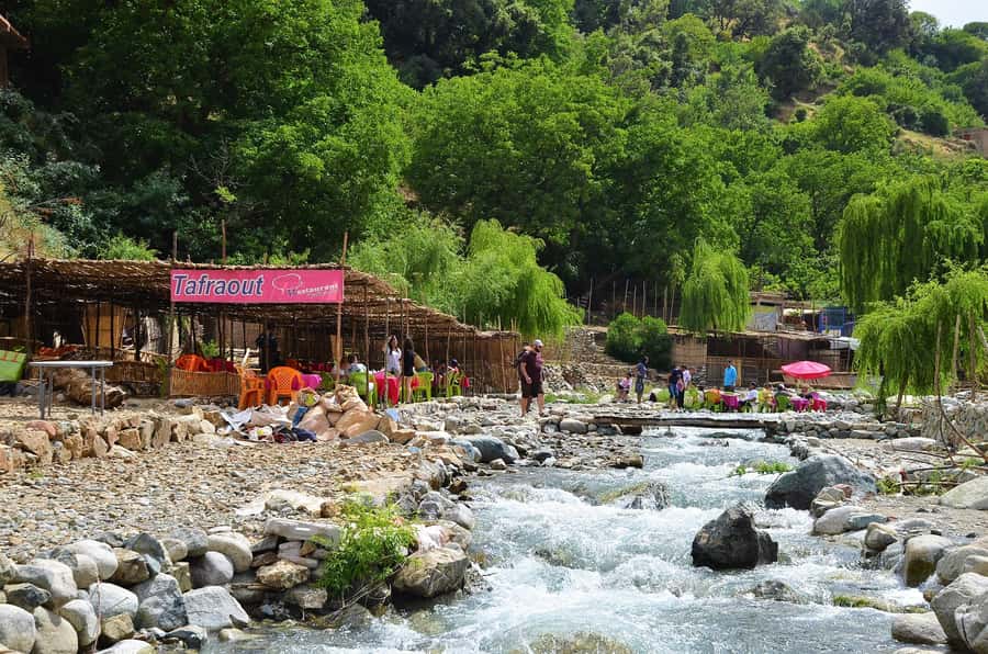 From Marrakech: Ourika Valley & Atlas Mountains Waterfalls - Argan oil, mint tea, and a women’s cooperative