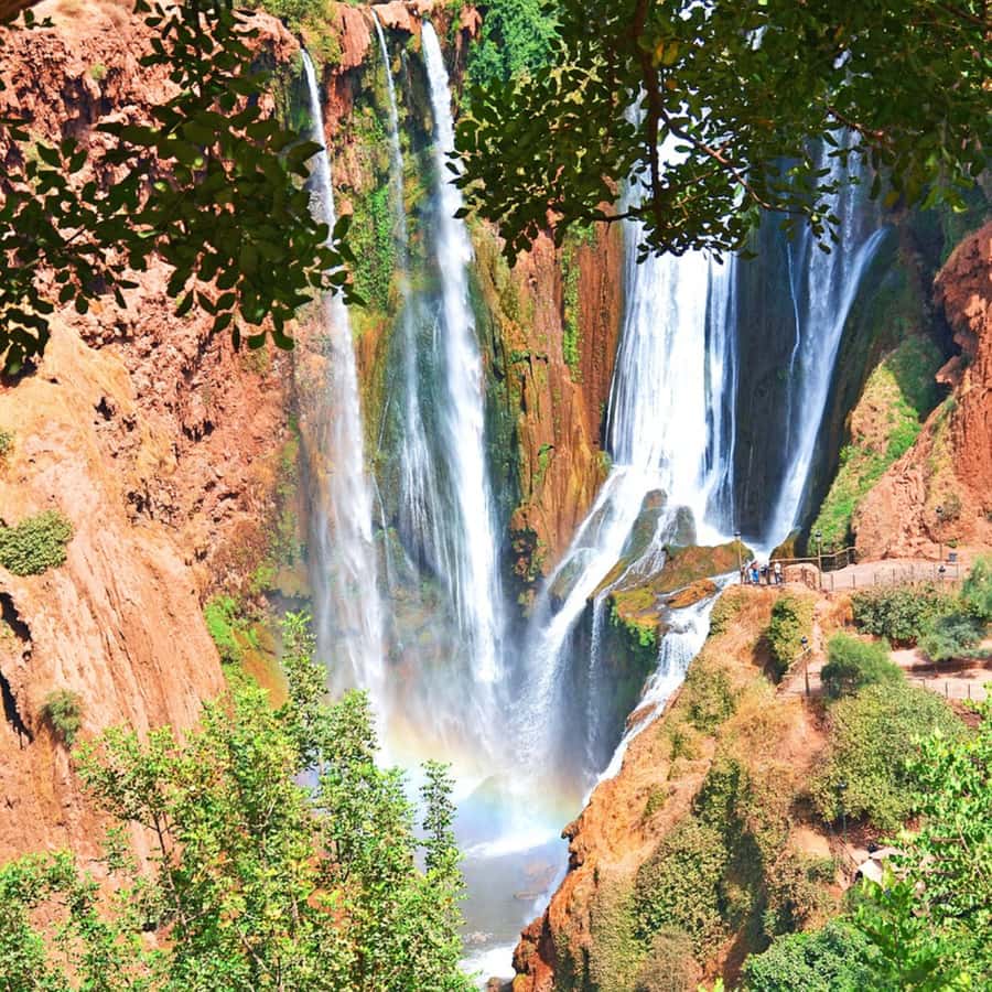 From Marrakech: Ouzoud Waterfalls Guided Tour and Boat Ride - Monkeys, birds, swimming, and a tajine lunch