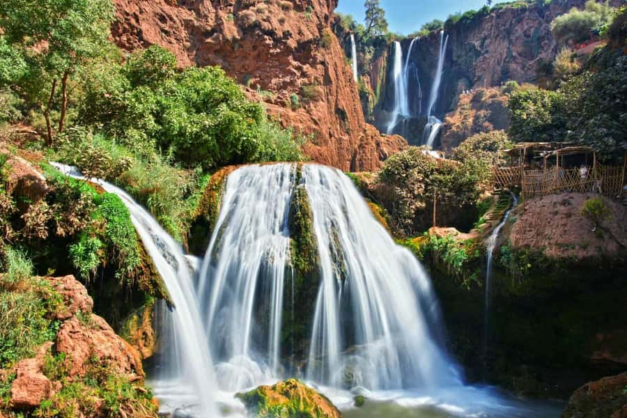 From Marrakech: Ouzoud Waterfalls Guided Tour and Boat Trip - Barbary macaques around the olive trees