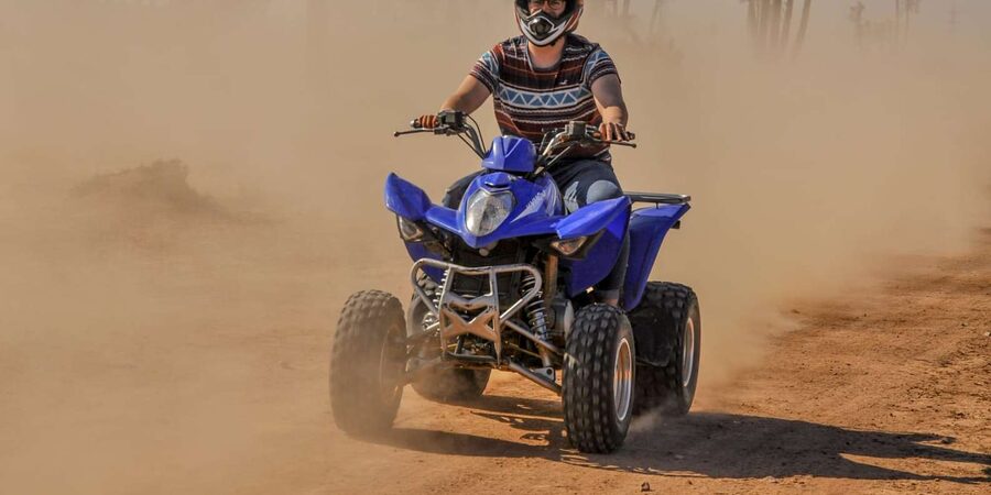 From Marrakech: Palm Grove Quad Bike Tour with Mint Tea - A mint tea stop with Berber hospitality